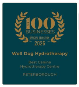Top 100 Businesses 2026 — Best Canine Hydrotherapy Centre