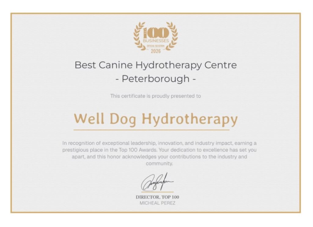 Top 100 Businesses 2026 award certificate for Well Dog Hydrotherapy
